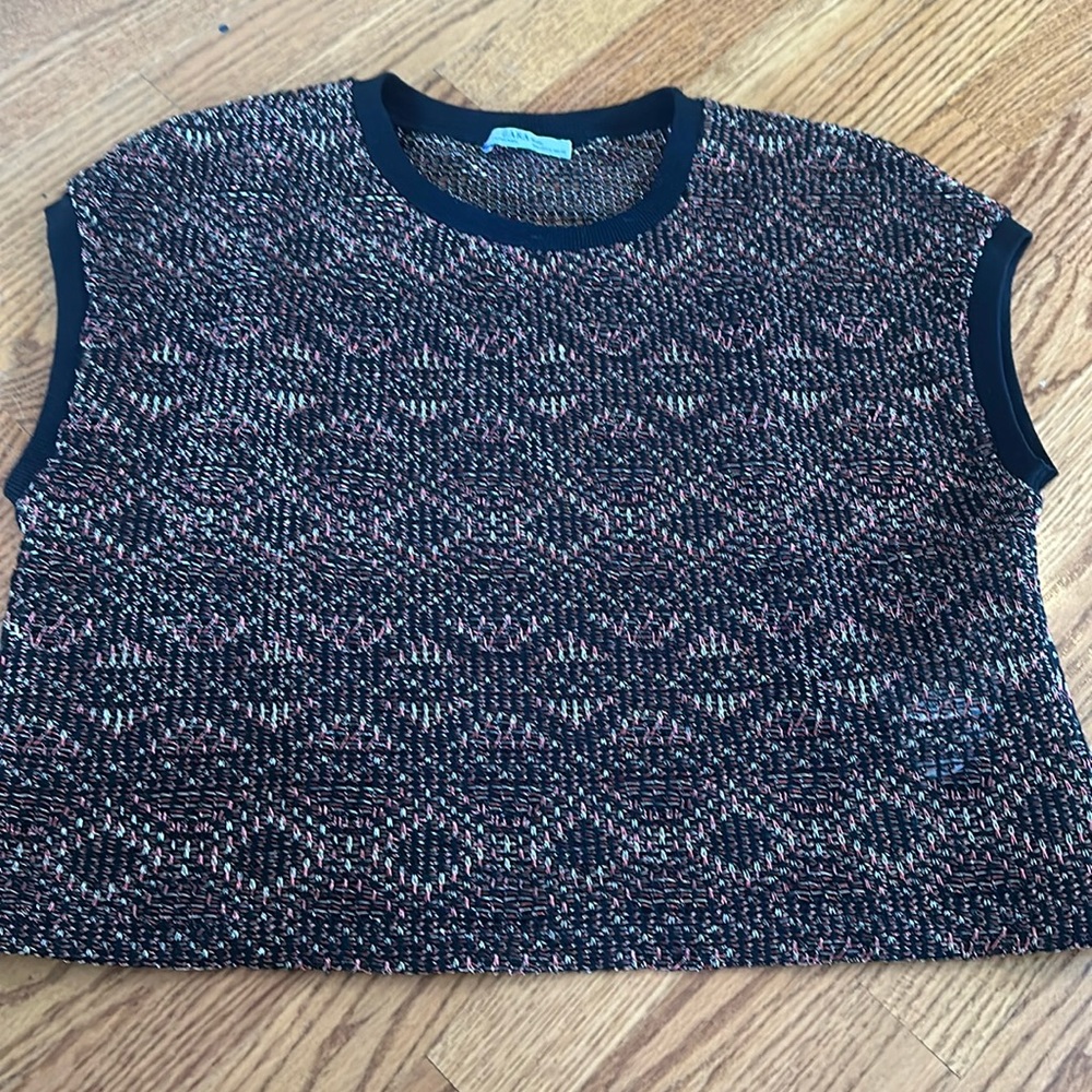 Zara cropped top